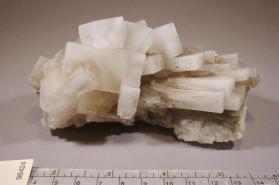 Halite