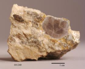 Monazite-(Ce)