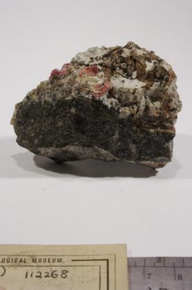 Eudialyte