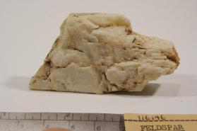 Albite