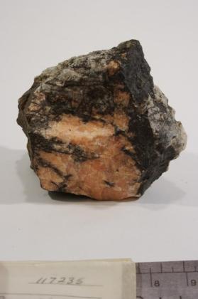 Lithiophilite