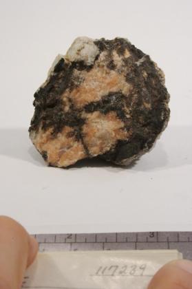 Lithiophilite