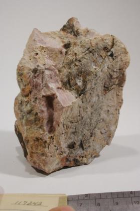 Eucryptite