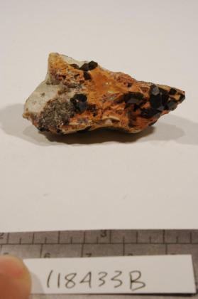 Buergerite