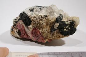 Eudialyte