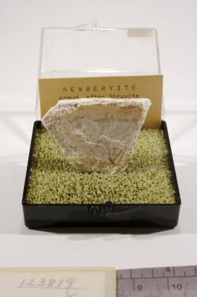 Newberyite