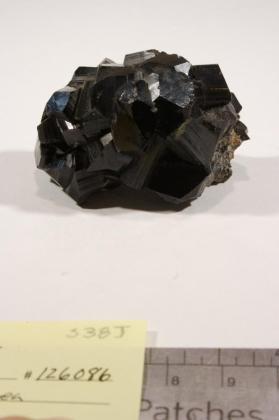 Dravite