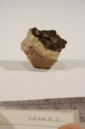 Buergerite