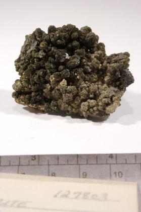 cuprodescloizite