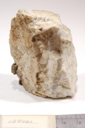 Allanite-(Ce)