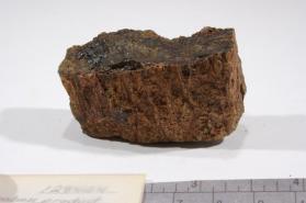 Allanite