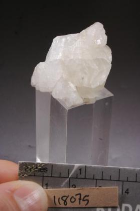 Apophyllite with CALCITE