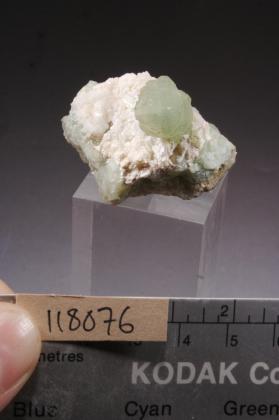 Apophyllite with PREHNITE