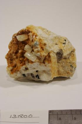 Albite