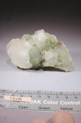 CALCITE with PREHNITE