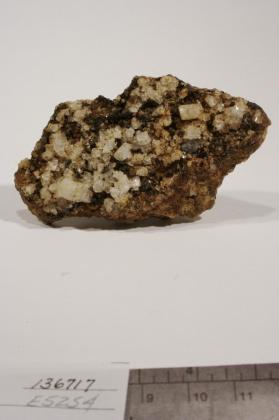 FLUORAPATITE with Muscovite