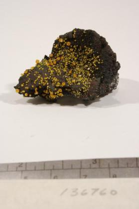 Wulfenite