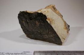 Albite with Biotite and Quartz