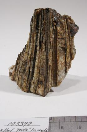 Allanite-(Ce)