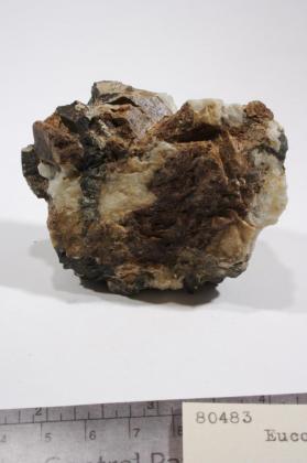 Eudialyte