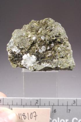 EPIDOTE with DATOLITE
