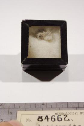Eudidymite