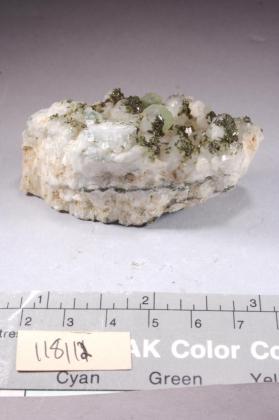 EPIDOTE with Apophyllite and CALCITE and Chlorite and DATOLITE and PREHNITE and Quartz