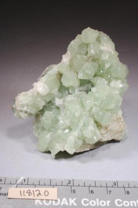 PREHNITE with DATOLITE