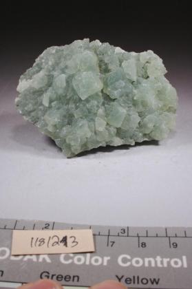 PREHNITE with DATOLITE