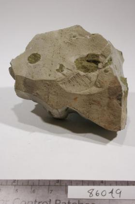 EPIDOTE