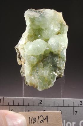 PREHNITE with DATOLITE