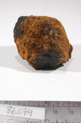 Allanite