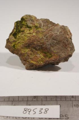 uzbeckite with Tuyamunite