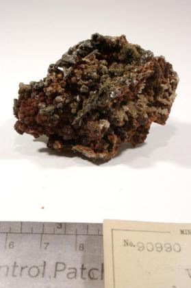 Vanadinite with Descloizite