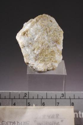 wilkeite