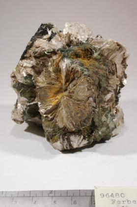 Muscovite