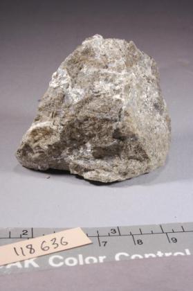 Nekoite