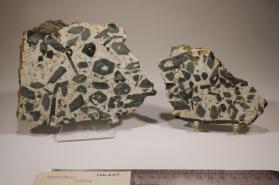 Hornblende with Albite and EPIDOTE