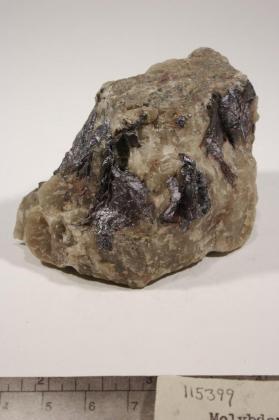 Molybdenite