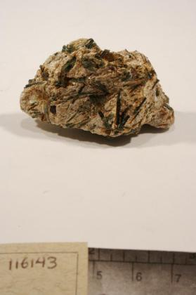 Actinolite