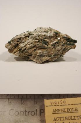 Actinolite