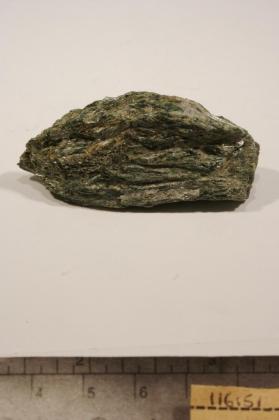 Actinolite