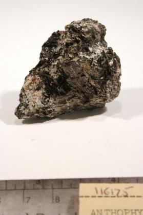 Anthophyllite