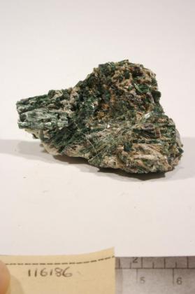 Actinolite