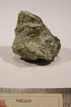 Actinolite