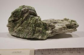 Actinolite