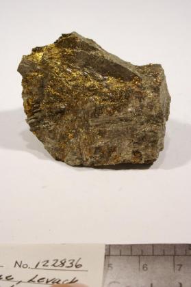 Millerite with Chalcopyrite