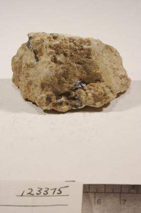 Molybdenite