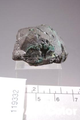 Bornite