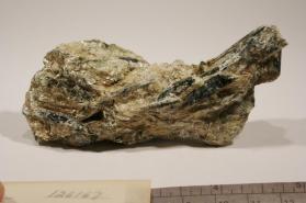 Actinolite